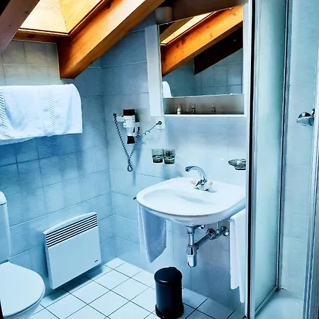 Hotel Les Bouquetins 3* Zinal