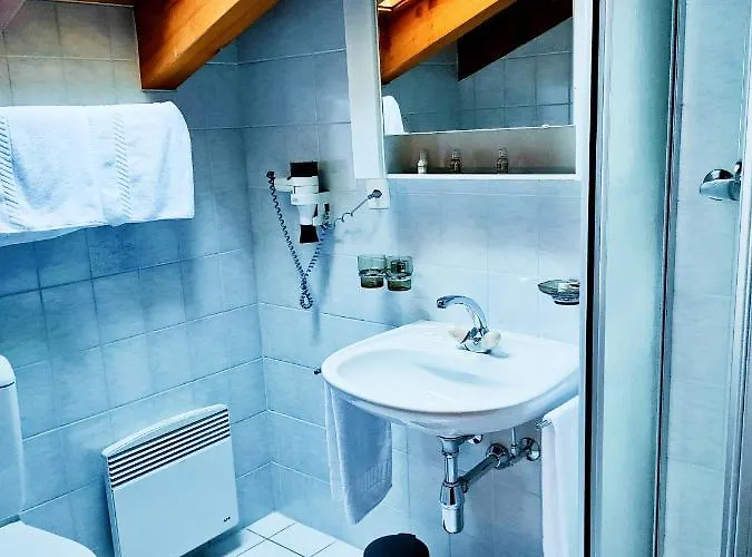 Garni Les Bouquetins 3* Zinal