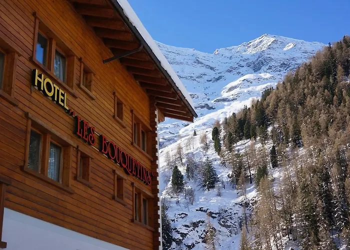 Hotel Garni Les Bouquetins 3*